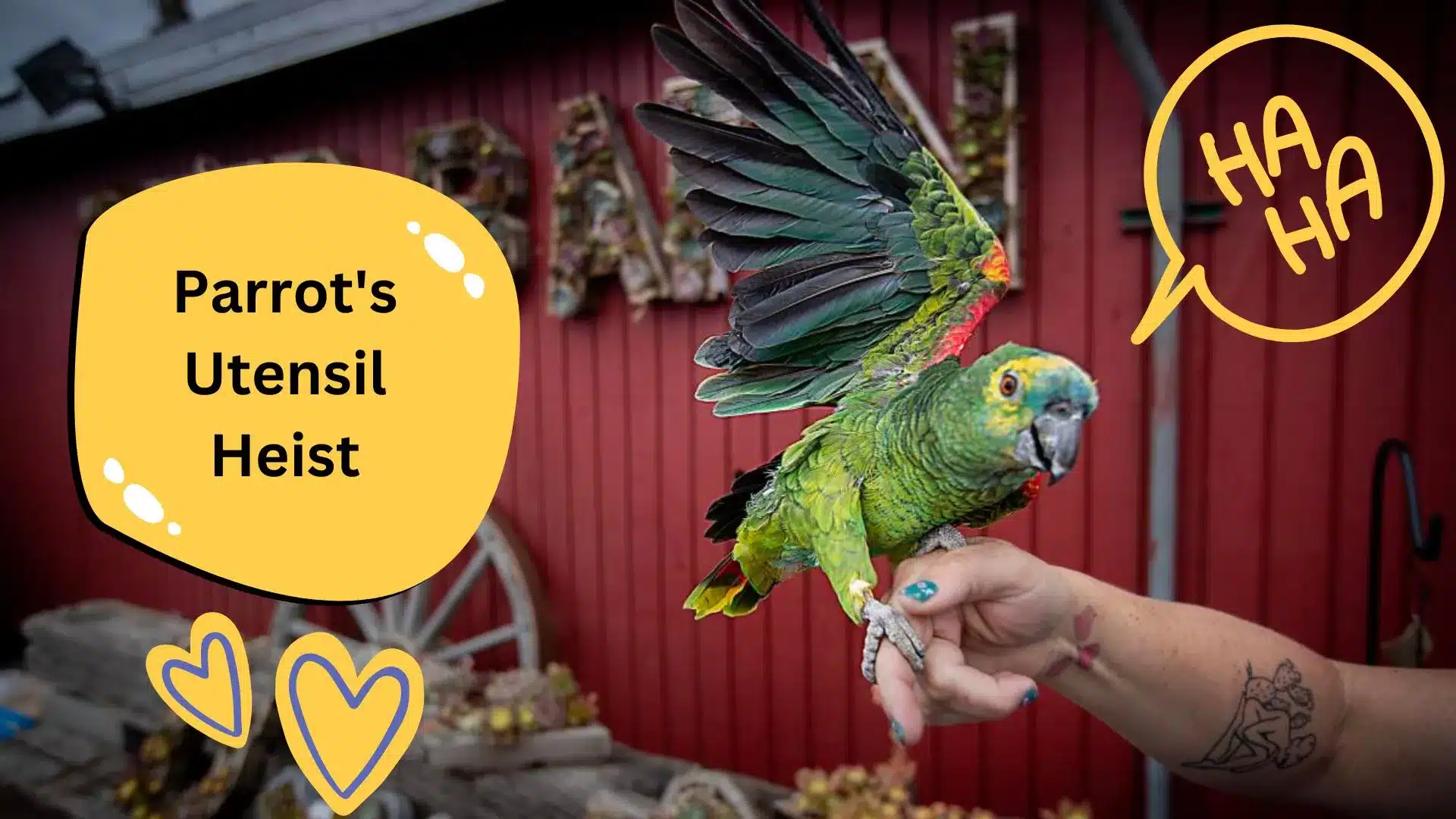 Sunny the Parrot's Utensil Heist Will Make You Laugh!