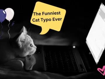 The Funniest Cat Typo Ever: Mr. Whisker's Keyboard Prank