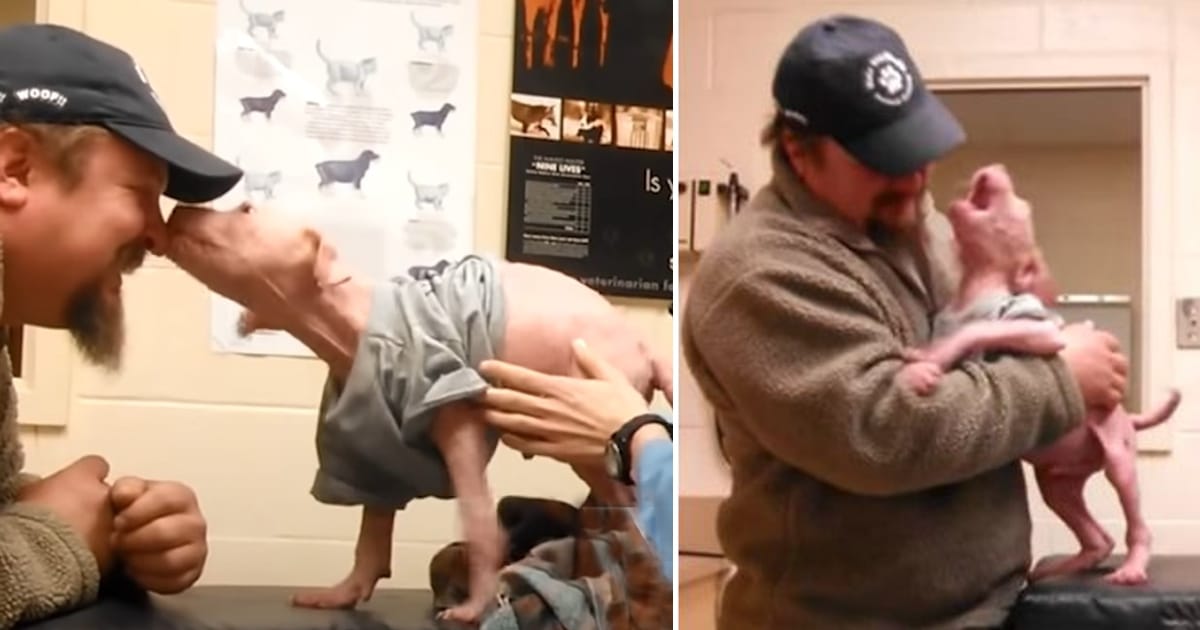 Man Rescues an Abandoned Puppy, Giving Him a Loving Forever Home